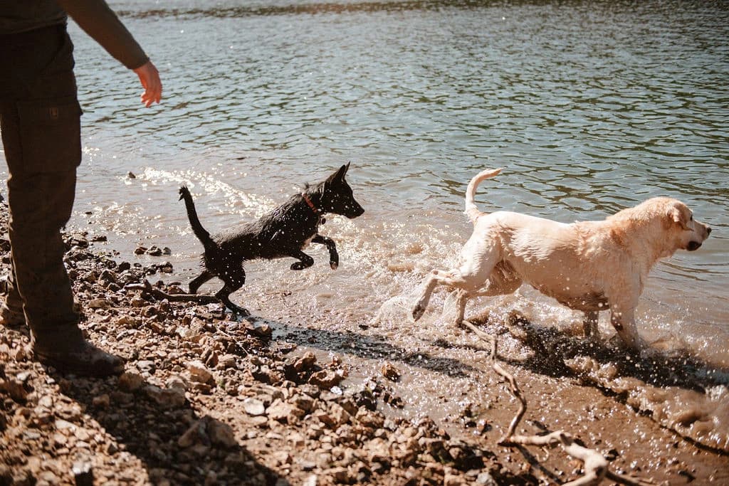 Pristine Lake Adventures