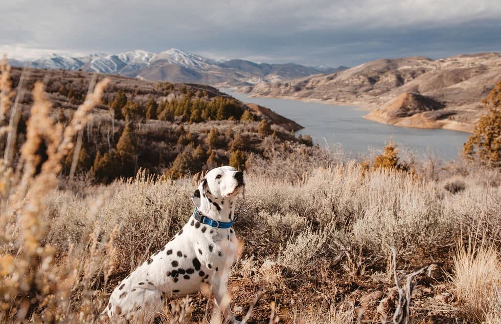 Hikes Around The Lake
