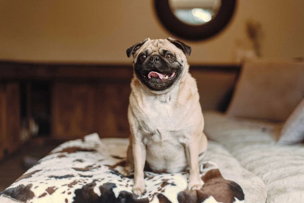 Spa Treatments and Massages